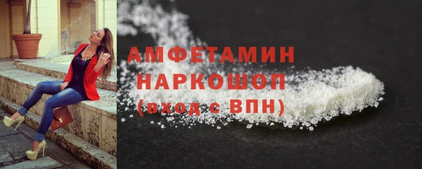 скорость Ельня