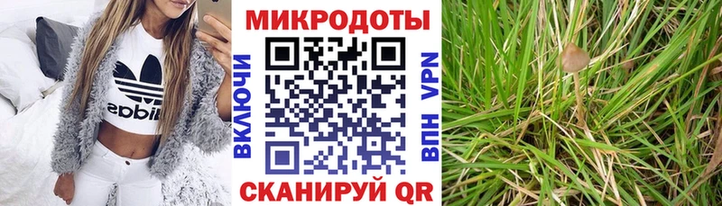где найти   Горно-Алтайск  Галлюциногенные грибы мицелий 